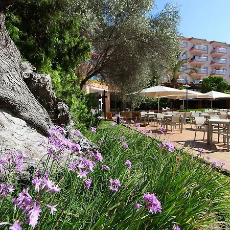 Viva Sunrise Aparthotel Port de Alcudia (Mallorca)